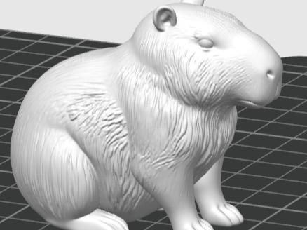 Capybara
