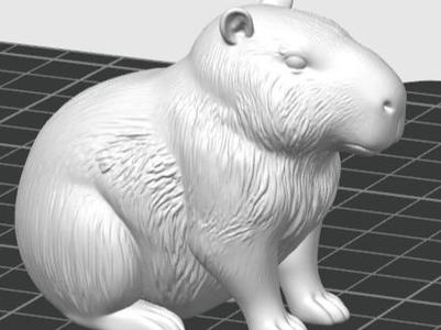 Capybara