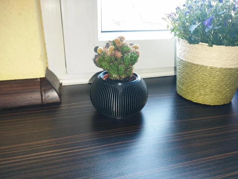 Pot  | Vase | Planter   