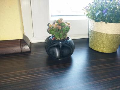 Pot  | Vase | Planter   