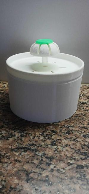 cat drinking fountain