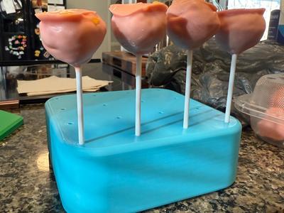 Cake Pop Rack/Holder - Holds 16 Cake Pops!