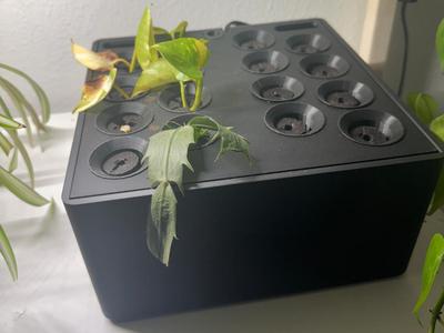 Hydrostation seed starter