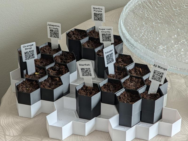 Hexagon seedling plant pot system