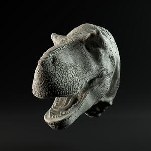Tyrannosaurus mount/head