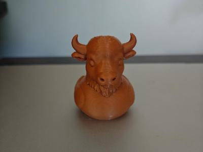 Buffalo Duck