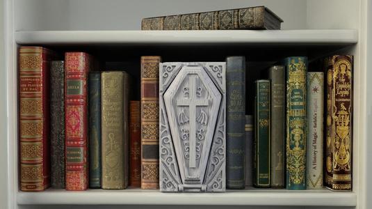 Coffin dice case Booknook