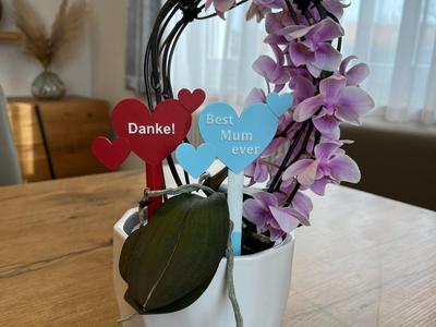 Heart Picks – Loving Decorations for Gifts