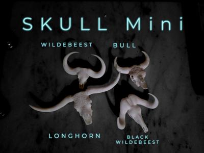 Skull Minis - Longhorn-Wildebeest-Buffalo-Bull