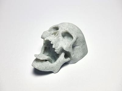 Bambu Lab P1 X1 Mouth Open Skull Handle