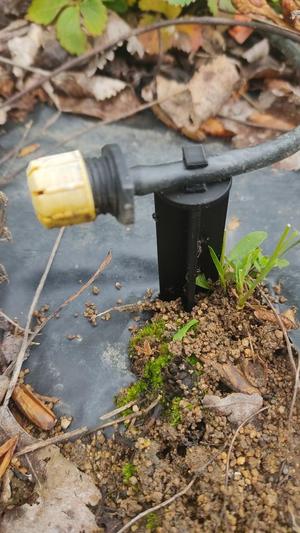  Stake for drip irrigation