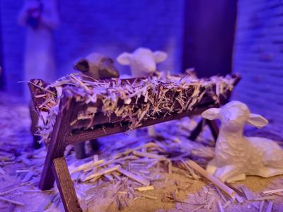 Manger for Nativity Stable