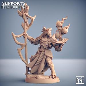 Scramax the Battlemage - The Dragonguard Hero