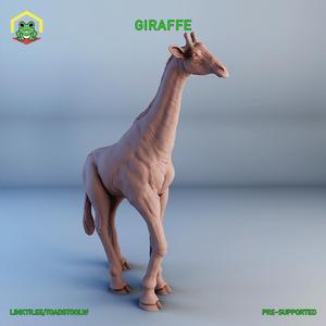 Giraffe