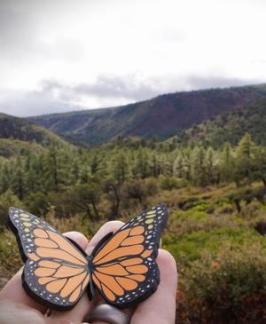Articulating Monarch Butterfly (AMS Painted)