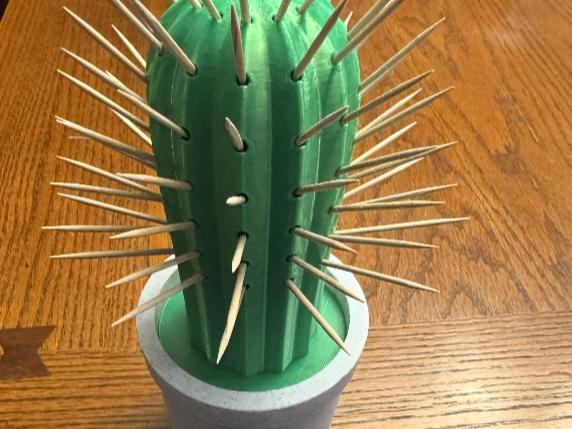 Cactus Toothpick Holder With Pot