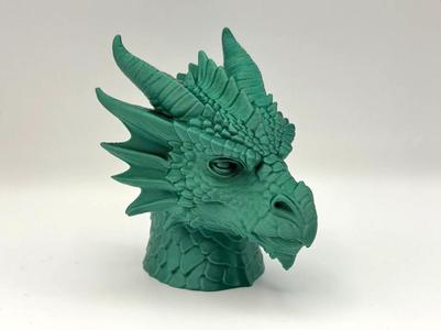 Detailed Dragon Bust