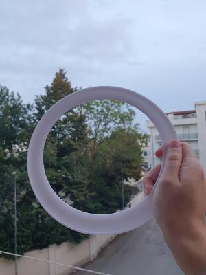 Friesbee ring