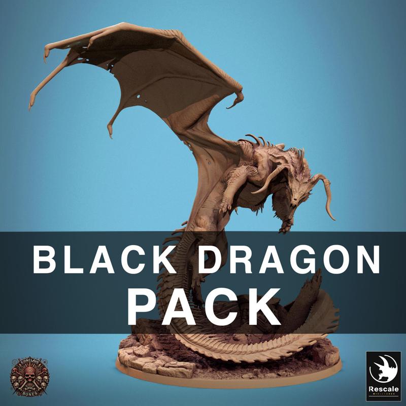 Pack Chromatic Black Dragon - 2024 Redesign