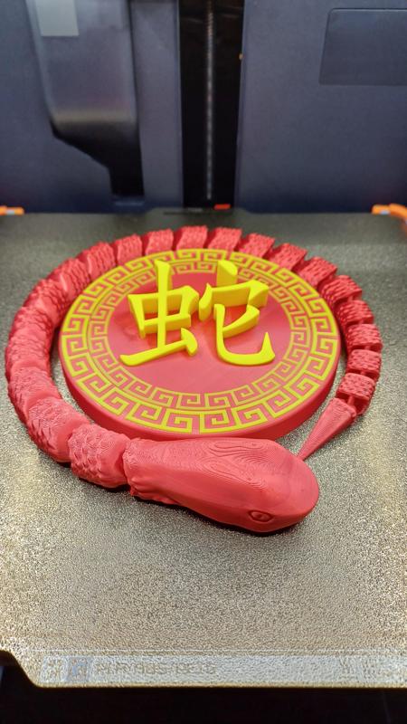 Year of The Snake
