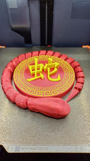 Year of The Snake