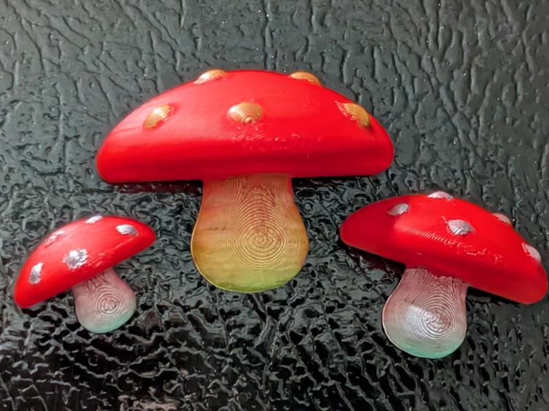 Mushroom Magnets