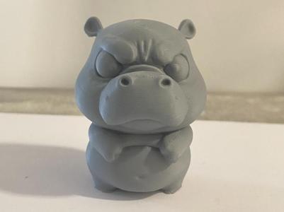 Grumpy Baby Hippo