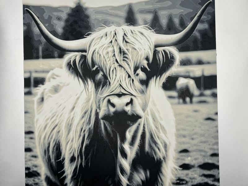 Highland Cow Hueforge