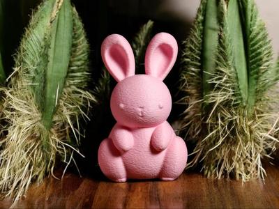 Easter Bunny Cute Kawaii