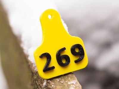 269 EARTAG KEYCHAIN