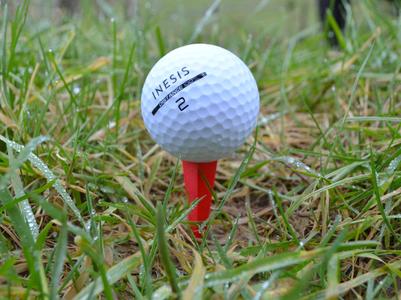 Golf Tee