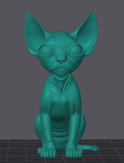 Sphynx cat