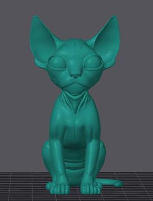 Sphynx cat