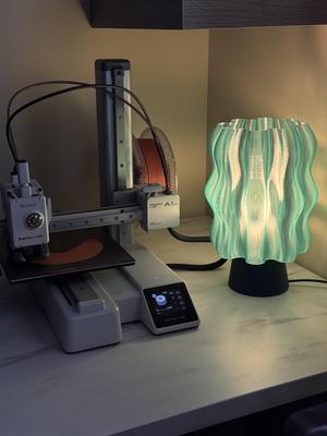 Jellyfish Lamp - Translucent PETG Lamp