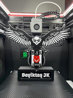 Besiktas Istanbul / Beşiktaş JK