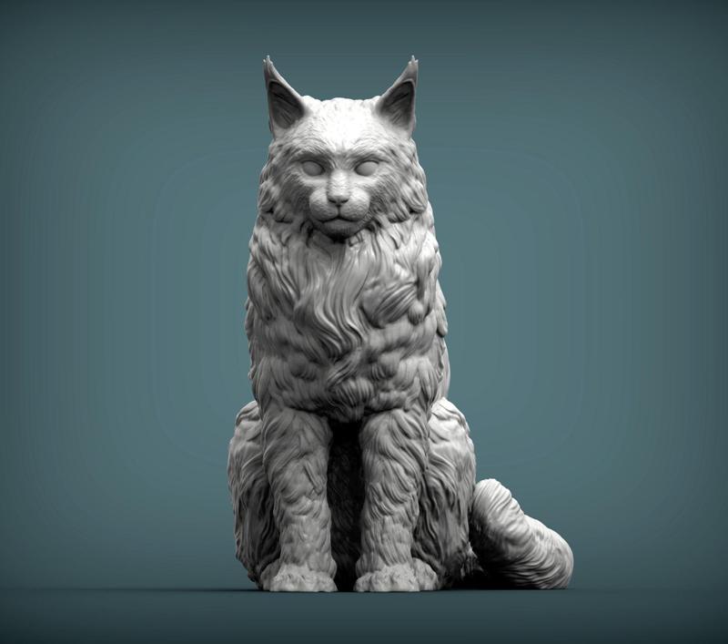 Maine Coon