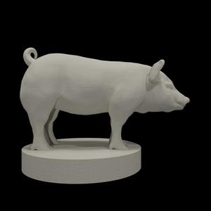 Pig Miniature