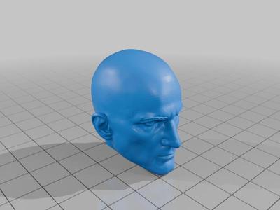 Lucas Grey from HITMAN - action figure head
