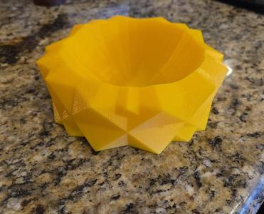 Pet Food Bowl