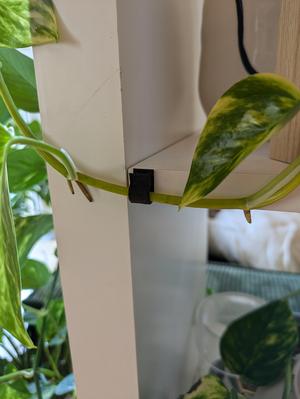 Vine Clip