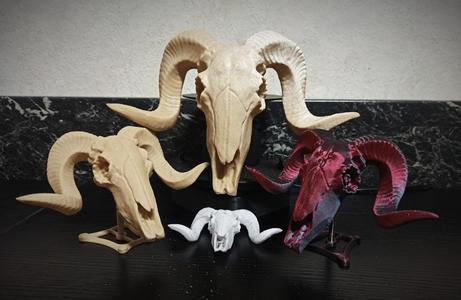 RAM / GOAT SKULL with Display Stand