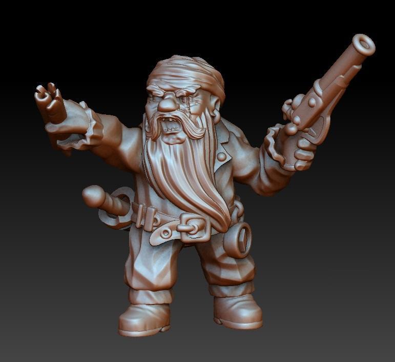 Dwarf pirate