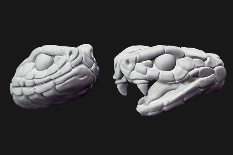 Snake Heads