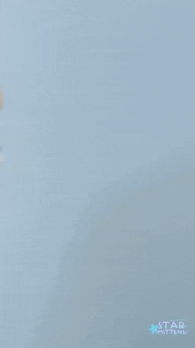Cute Flexi Shiba Police Dog