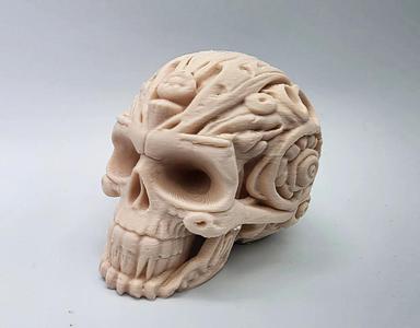 Carved Stone Skull