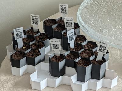 Hexagon seedling plant pot system