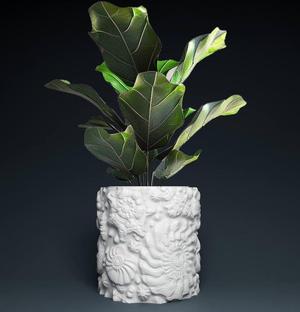 Shellfish plant pot with drainage 3D Printer STL file: instant download, Plant lovers gift