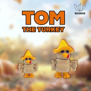 M3D – Baby Tom Turkey