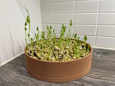 Ribbed Plant Pot With Drip Tray