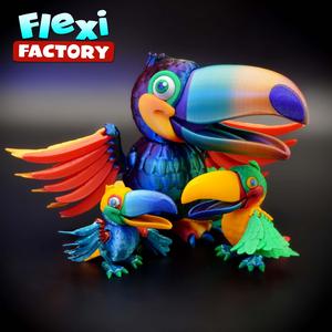 Public Release: Flexi Factory Toucan